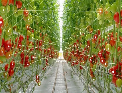 Smart-Farm Project to Lower Greenhouse Gas Emissions & Boost Farming Efficiency