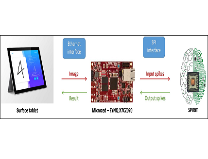 Fully Integrated Bio-Inspired Neural Network Chip