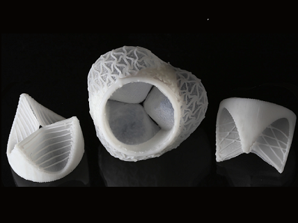 Bioinspired Artificial Heart Valves Made by Silicone Additive Manufacturing