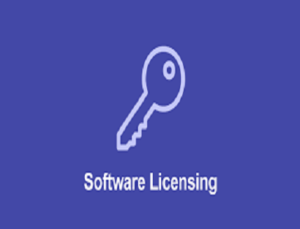 Challenges in Software Licensing & How to Conquer Them