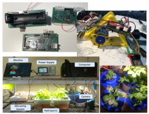 element14 announces Winners of Annual Community Awards element14 announces Winners of Annual Community Awards