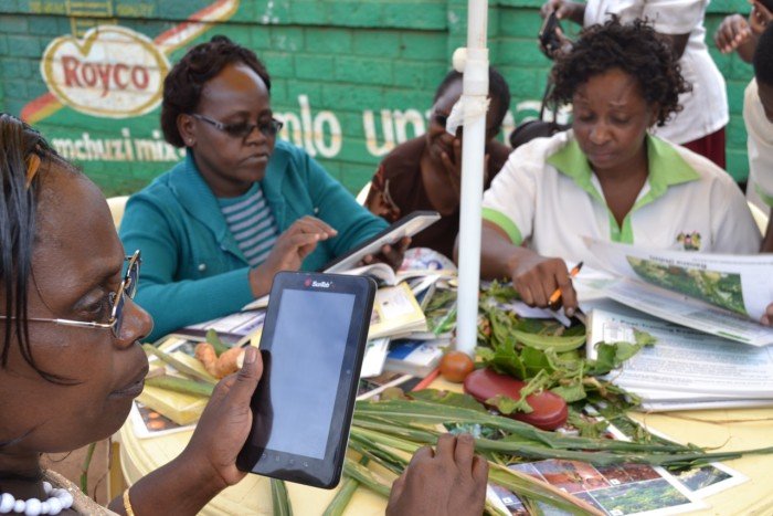 New satellite pest risk service to improve African farmers’ livelihoods