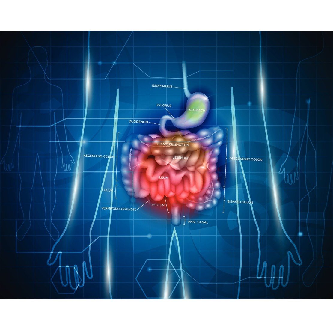 New imaging system to detect bowel cancer at the earliest stages using photonics New imaging system to detect bowel cancer at the earliest stages using photonics